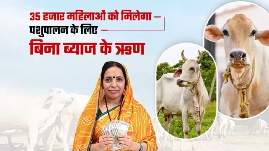 Gopal Credit Card Scheme 2 1024x576 1